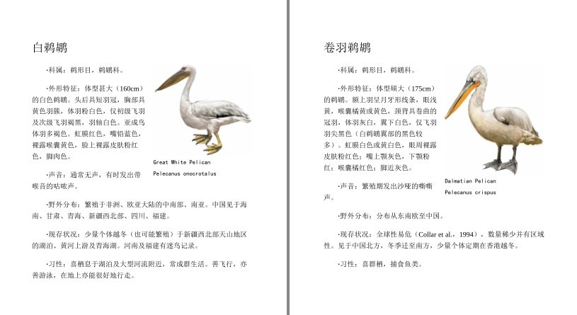 QQ截图20230710090354.png
